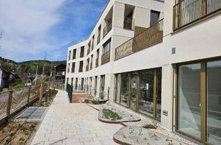 Wohnung mieten in 4274 Schönau im Mühlkreis, Neubau-Mietwohnung im Zentrum von Schönau