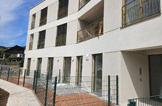 Wohnung mieten in 4274 Schönau im Mühlkreis, Neubau-Mietwohnung im Zentrum von Schönau