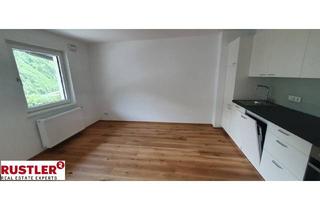 Wohnung mieten in 5450 Werfen, WOHNEN MIT AUSBLICK