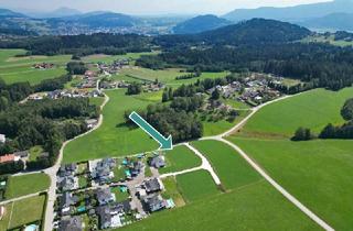 Grundstück zu kaufen in 9562 Himmelberg, Traumhaftes Grundstück ca. 5 Minuten von Feldkirchen