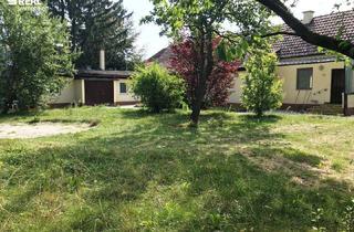 Grundstück zu kaufen in 2000 Stockerau, Seltenes Baugrundstück in sehr attraktiver Lage mit Altbestand