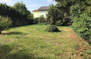Grundstück zu kaufen in 2000 Stockerau, Großes Grundstück mit Altbestand im Herzen von Stockerau
