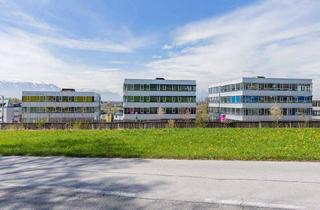 Büro zu mieten in Oberndorferstraße 33, 5020 Salzburg, 300 m² Bürofläche in Hagenau
