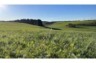 Grundstück zu kaufen in 4851 Gampern, Grundstück mit Weitblick - Naturidylle am Gamperner Berg