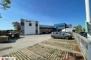 Immobilie mieten in 1230 Wien, Top Lage, Wien 23. Neuwertiges Betriebsobjekt: 607 m², 5 Parkplätze, ideal für Ihre Vision! Miete 9.186 €