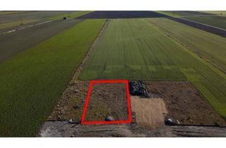 Grundstück zu kaufen in 2486 Siegersdorf, Grundstück in SUPER Lage!