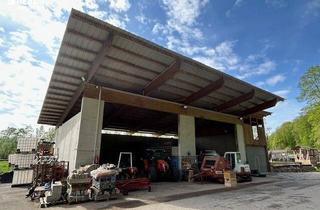Gewerbeimmobilie kaufen in 4523 Neuzeug, Waldflächen mit Betriebshalle und Reitplatz