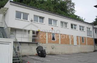 Haus kaufen in 4470 Enns, NEUER PREIS !! - Für ANLEGER: HOHE RENDITE !! Modernisiert, sehr ruhig !