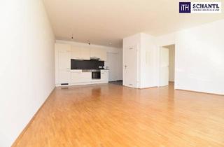 Wohnung mieten in Niesenbergergasse, 8020 Graz, HELLE GERÄUMIGE 2 Zimmer Wohnung mit niedrigen Heizkosten und einer Top Infrastruktur! Ab 01.06.2025!