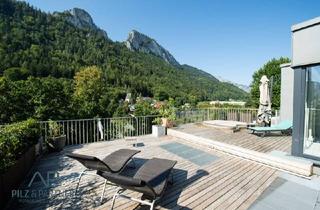 Gewerbeimmobilie kaufen in 5400 Hallein, Betriebshalle + Penthouse = Arbeiten + Wohnen unter einem Dach!