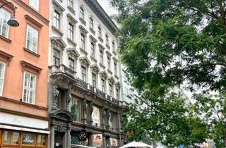 Büro zu mieten in Rotenturmstraße, 1010 Wien, Schöne, großzügige Bürofläche im Herzen Wiens