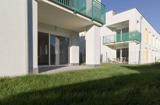 Wohnung mieten in Lange Gasse 13-17, Sportplatzgasse 4-8, 2821 Lanzenkirchen, Geräumige Gartenwohnung in Lanzenkirchen