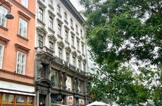 Büro zu mieten in Rotenturmstraße, 1010 Wien, Schöne, großzügige Bürofläche im Herzen Wiens