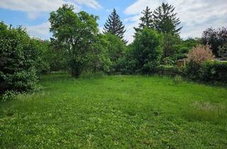 Grundstück zu kaufen in 2500 Baden, GRUNDSTÜCK FÜR VILLA ODER HAUS BIS ZU 3 WOHNEINHEITEN