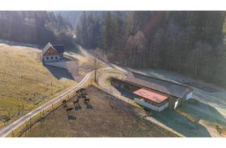 Gewerbeimmobilie kaufen in 8452 Großklein, "Ihr Traumhaus mit dazugehöriger Landwirtschaft!"