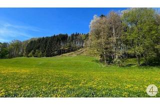 Grundstück zu kaufen in 3263 Perwarth, Baugründe in wunderschöner, sonniger Lage! Ein Höchstmaß an Lebensqualität!