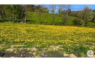 Grundstück zu kaufen in 3263 Perwarth, Apfelblüte im Mostviertel - Baugründe in wunderschöner, sonniger Lage!