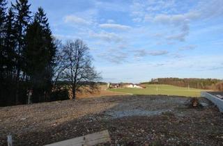 Grundstück zu kaufen in 5120 Sankt Pantaleon, Nahe Stadt Salzburg-St. Pantaleon: Baugrund in ruhiger Waldrandlage