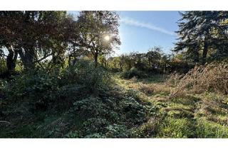 Grundstück zu kaufen in 2362 Biedermannsdorf, Tolles Grundstück in Biedermannsdorf