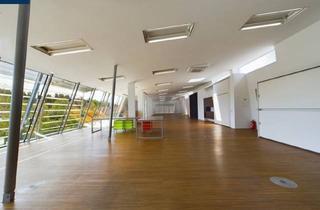 Büro zu mieten in Nähe Ortsmitte, 3910 Zwettl-Niederösterreich, MIETE - TOLLE Bürofläche mit Grünblick - Großglobnitz bei ZWETTL