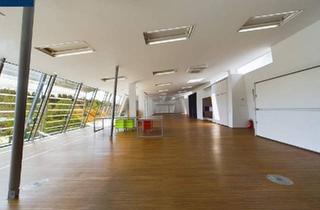 Büro zu mieten in 3910 Oberstrahlbach, MIETE - TOLLE Bürofläche mit Grünblick - Großglobnitz bei ZWETTL