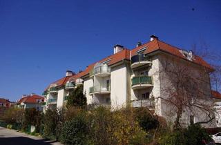 Wohnung mieten in 2500 Baden, Baden - Schicke Mietgarconniere mit Balkon und Parkplatz