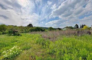 Grundstück zu kaufen in 7202 Bad Sauerbrunn, sonniges Baugrundstück in Bad Sauerbrunn