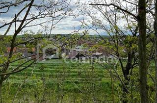 Einfamilienhaus kaufen in 2276 Reintal, Verborgener Schatz im Reintal - ein Weinviertler Wohnjuwel mit Potenzial