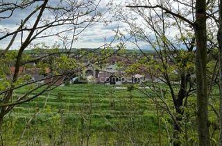 Einfamilienhaus kaufen in 2276 Reintal, Verborgener Schatz im Reintal - ein Weinviertler Wohnjuwel mit Potenzial