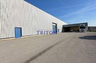 Gewerbeimmobilie kaufen in 2752 Wöllersdorf, 20.000 m² Betriebsgrund mit Hallen, Büros & Logistikvorteil – Nähe A2 & Bahnknoten