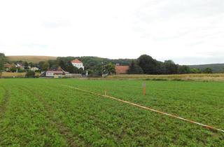 Grundstück zu kaufen in 2124 Niederkreuzstetten, Baugrundstücke in Niederkreuzstetten in traumhafter Lage im Herzen des Weinviertels