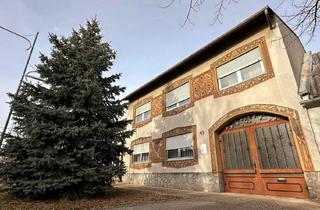 Bauernhäuser zu kaufen in Mittlere Hauptstraße 49, 2425 Nickelsdorf, Großes Bauernhaus mit viel Potential im Ortskern (gemauerter Weinkeller, Wirtschaftsgebäude,..)