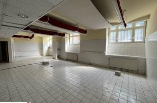 Büro zu mieten in Roßauer Lände, 1090 Wien, Vielseitig nutzbare und branchenfreie Gewerbefläche auf der Rossauer Lände