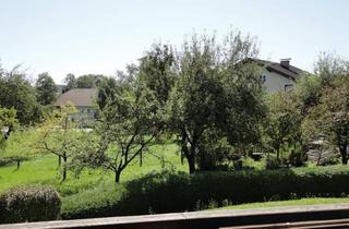 Wohnung kaufen in 5162 Obertrum am See, Für Anleger: attraktive 3 Zi-Wohnung mit Loggia und Carport