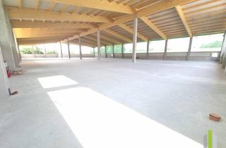 Lager mieten in 5202 Neumarkt am Wallersee, Moderne Lagerhalle - Flexibel anpassbar und sofort verfügbar!