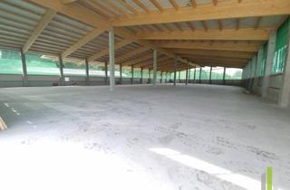 Lager mieten in 5202 Neumarkt am Wallersee, Flexibel anpassbar und sofort verfügbar - Moderne Lagerhalle!