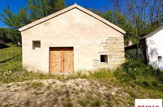 Lager kaufen in Mühlkellergasse, 3714 Sitzendorf an der Schmida, Wunderschönes Presshaus mit Kellerröhre im idyllischen Sitzendorf a.d. Schmieda