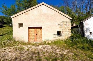 Gewerbeimmobilie kaufen in 3714 Sitzendorf an der Schmida, Wunderschönes Presshaus mit Kellerröhre im idyllischen Sitzendorf a.d. Schmieda