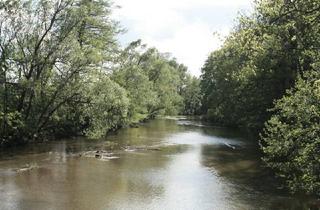 Doppelhaushälfte kaufen in 2483 Ebreichsdorf, Traumhafte Grünruhelage an der Piesting - Exklusive Doppelhaushälfte mit Dachterrasse, Garten und Stellplatz