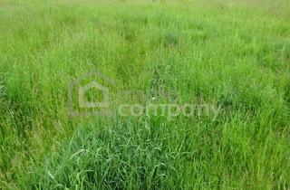 Grundstück zu kaufen in 3580 Horn, Traumhaftes Grundstück für 2 Wohneinheiten in Horn: 929m² mit Grünblick/ NEUER PREIS 189.000 €!