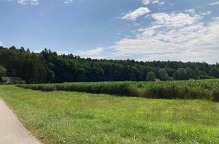 Grundstück zu kaufen in 8283 Bad Blumau, Natur, Ruhe & Lebensqualität – Das Baugrundstück in Bad Blumau wartet auf Sie!
