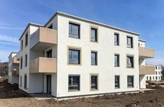 Wohnung mieten in Großstelzendorf - Bt 2, 2013 Großstelzendorf, Südwestseitige Erstbezugswohnung mit großen Garten