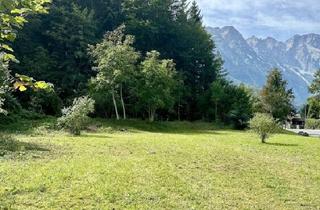 Grundstück zu kaufen in 5431 Kuchl, XL-Grundstück für Privathaus in naturnaher Lage von Kuchl!