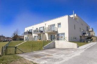 Wohnung mieten in Lichtenau Nr. 136/2/1, 3522 Lichtenau, Junges Wohnen in Miete | Top 2/1 | EG mit 51 m² Garten.