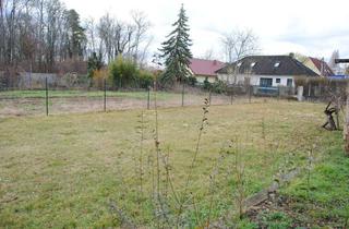 Grundstück zu kaufen in Zur Au/Franz Grießmüller-Gasse, 2440 Gramatneusiedl, Baugrundstück 946m² in Gramatneusiedl sofort Verfügbar