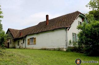 Immobilie kaufen in 7561 Heiligenkreuz im Lafnitztal, Heiligenkreuz: Sanierungsbed. Bauernhaus mit Obstbaumbestand