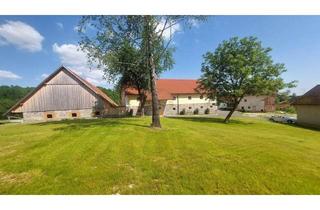 Bauernhäuser zu kaufen in 4776 Diersbach, Bauernhaus in Oberösterreich: Fußbodenheizung, Kamin, Pellets & mehr!