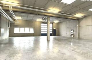Lager mieten in 1300 Mannswörth, Service- und Büroflächen direkt am Flughafen Wien