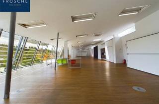 Büro zu mieten in 3910 Oberstrahlbach, MIETE - TOLLE Bürofläche mit Grünblick - Großglobnitz bei ZWETTL