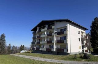 Wohnung mieten in Suldis 51, 6835 Dafins, 1-Zimmer-Appartement in ruhiger Berglage